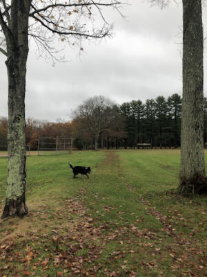 Dufresne Park