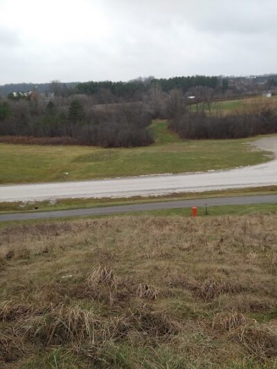 Grand Blanc Dog Park - Grand Blanc, MI