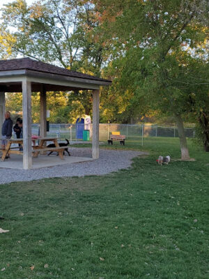 Grand Blanc Dog Park