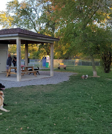Grand Blanc Dog Park