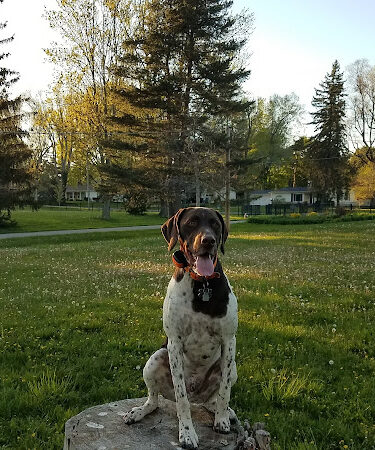 Rust Park