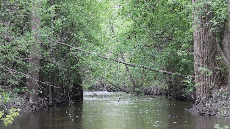 Rust Park - Grand Blanc, MI