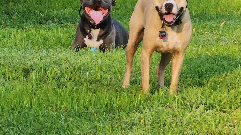 Grand Haven Dog Park - Grand Haven, MI