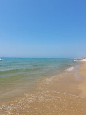 Grand Haven Dog Beach - Grand Haven,