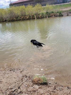 Canyon View Dog Park