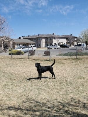 Canyon View Dog Park