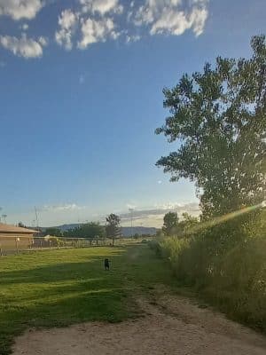 Canyon View Dog Park