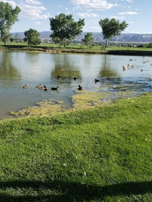 Canyon View Dog Park