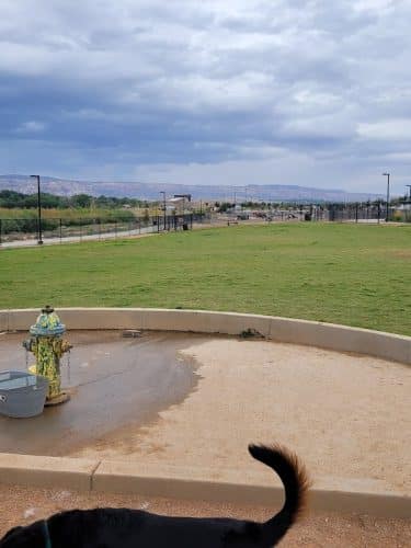 Las Colonias Dog Park