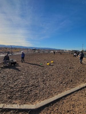 Las Colonias Dog Park