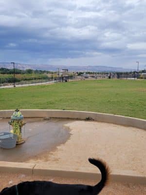 Las Colonias Dog Park
