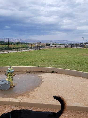 Las Colonias Dog Park