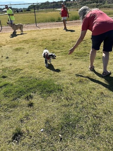 Las Colonias Dog Park