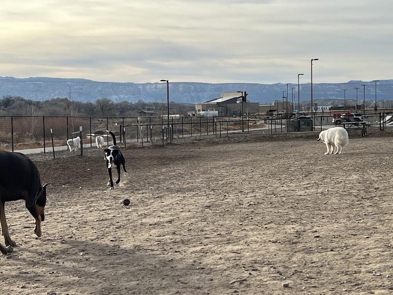 Las Colonias Dog Park - Grand Junction, CO