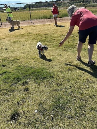 Las Colonias Dog Park - Grand Junction,