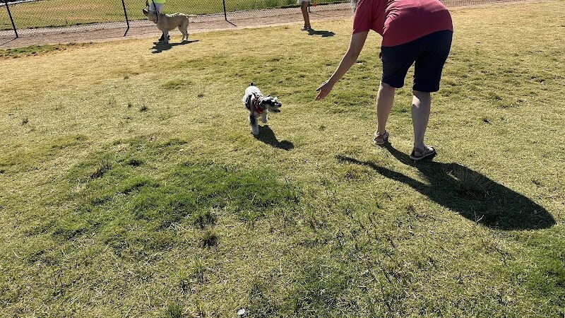 Las Colonias Dog Park - Grand Junction,