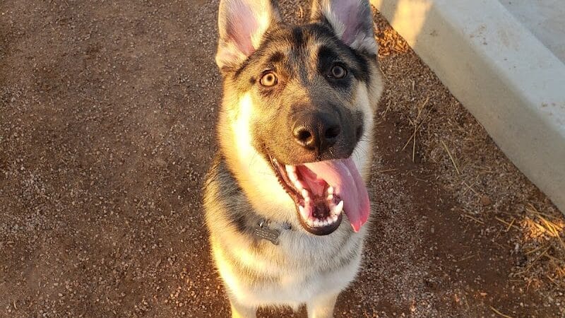 Las Colonias Dog Park - Grand Junction,