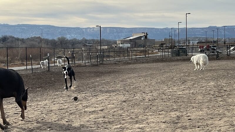 Las Colonias Dog Park - Grand Junction,