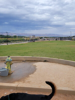 Las Colonias Dog Park