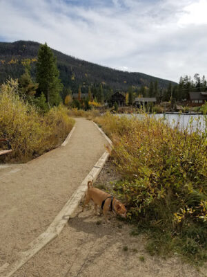 Point Park