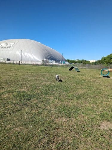 Central Bark Dog Park