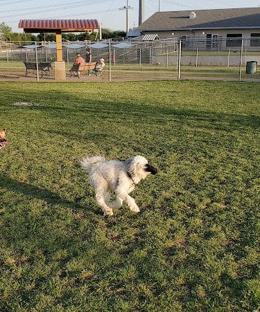 Central Bark Dog Park