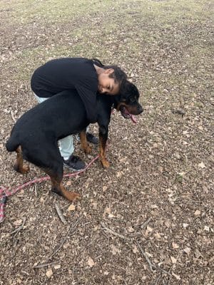 Central Bark Dog Park