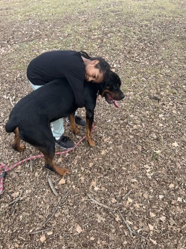 Central Bark Dog Park