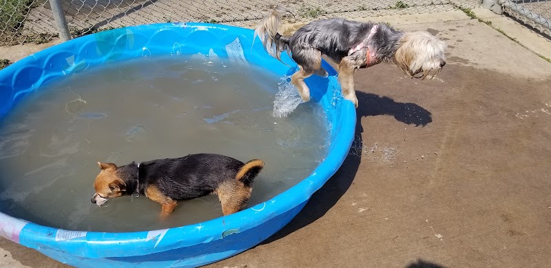 Central Bark Dog Park - Grand Prairie, TX