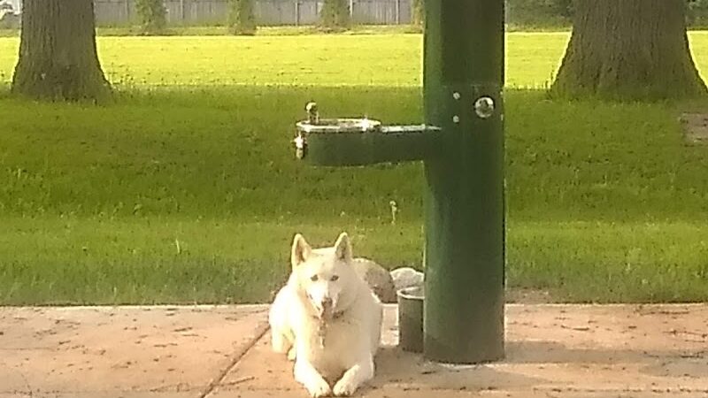 Cambridge Park - Grand Rapids,