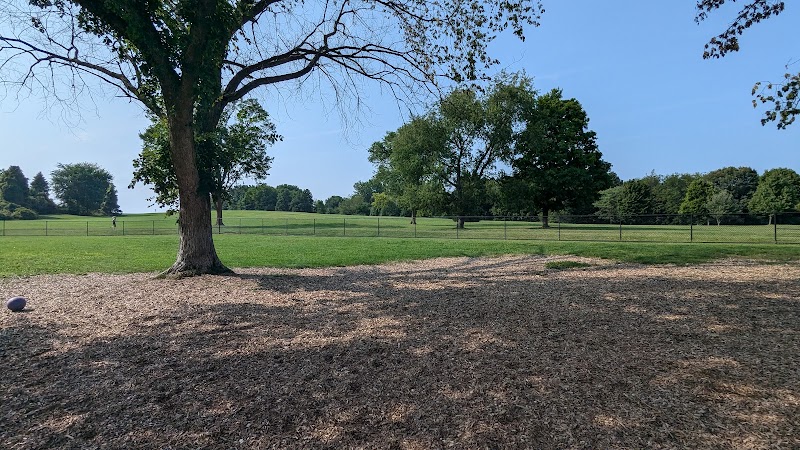 Cascade Dog Park - Grand Rapids, MI