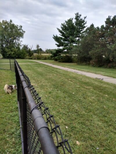 Cascade Dog Park - Grand Rapids, MI