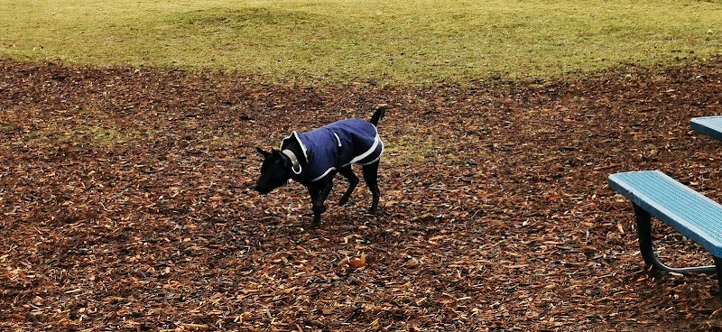 Cascade Dog Park - Grand Rapids, MI