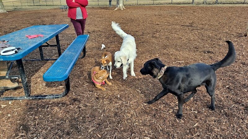 Cascade Dog Park - Grand Rapids, MI