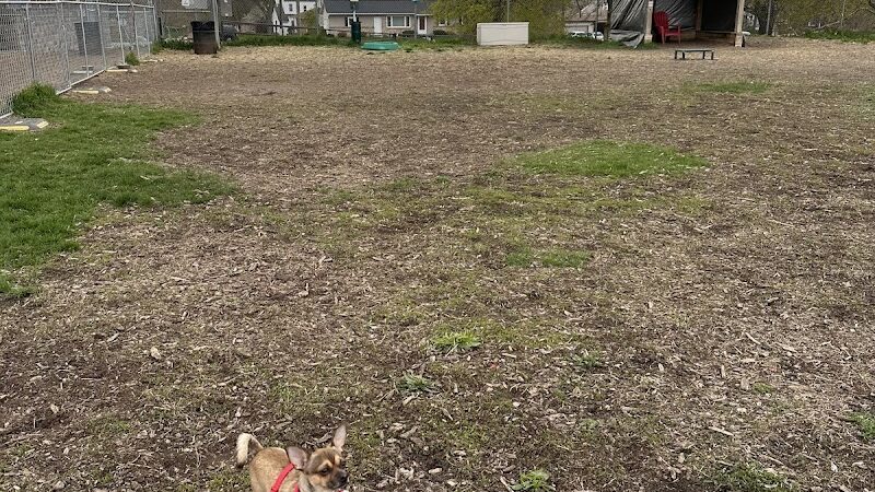 Covell Dog Park - Grand Rapids, MI