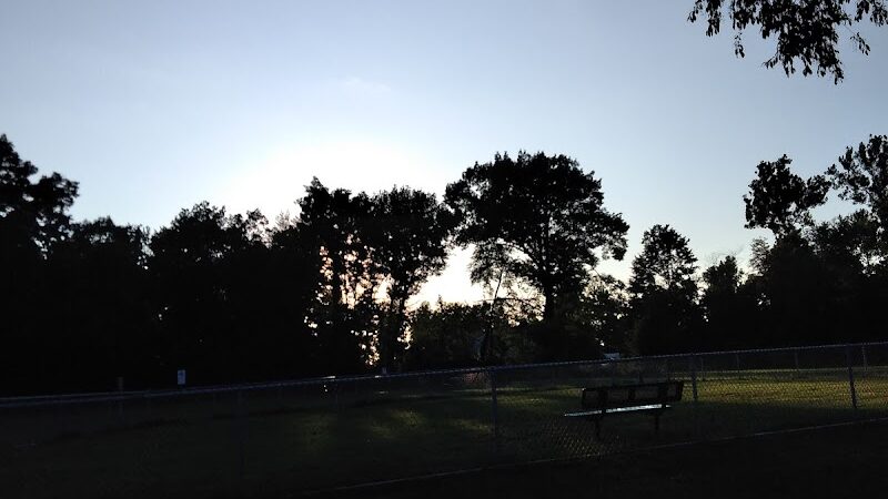 Dog Park - Grand Rapids, MI