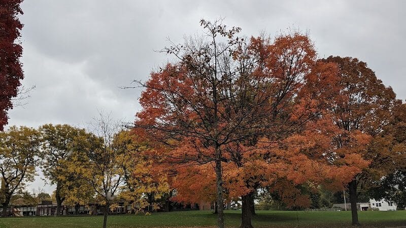 Fuller Park - Grand Rapids,