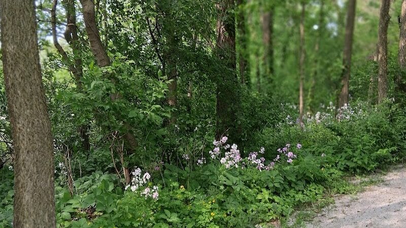 Fuller Park - Grand Rapids,