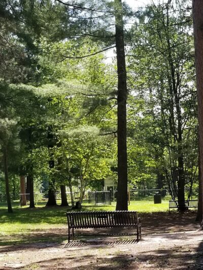 Grand Rapids Dog Park - Grand Rapids,
