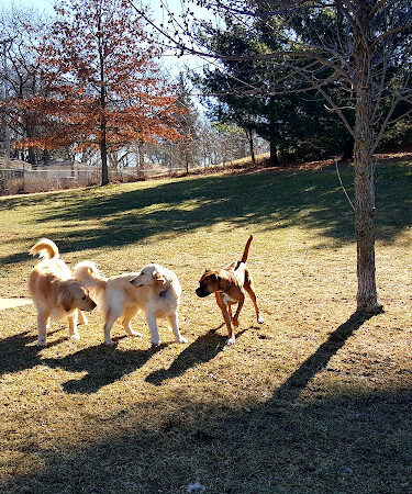 Cambridge Park