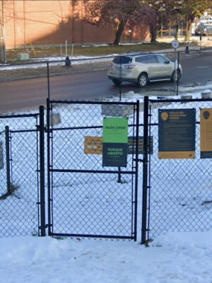 Downtown Dog Park