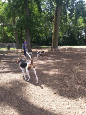 Fuller Park