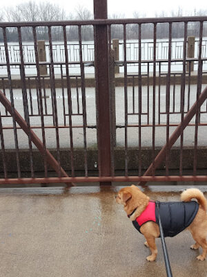 Riverside Park