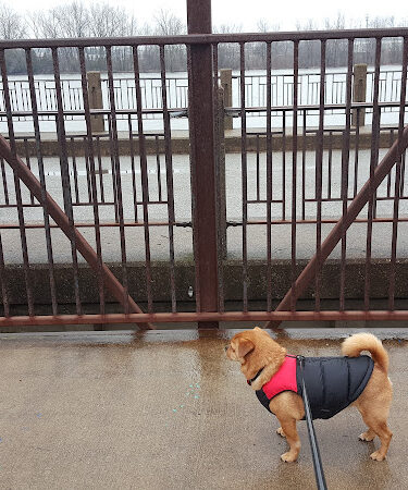 Riverside Park