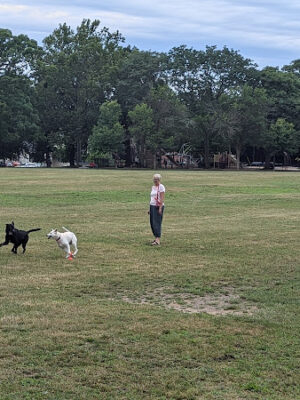 Wilcox Park