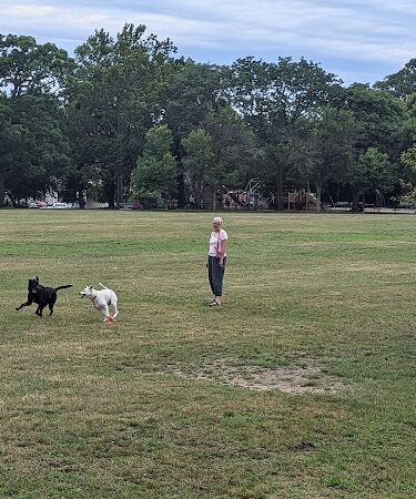 Wilcox Park