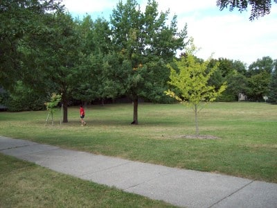 Midtown Green - Grand Rapids,
