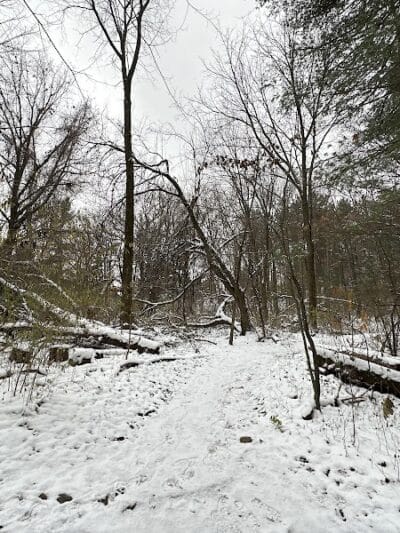 Provin Trails - Grand Rapids, MI