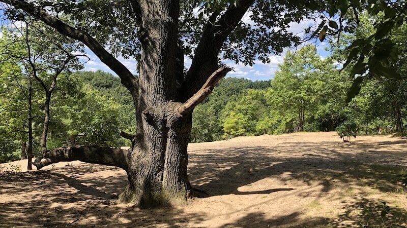 Provin Trails - Grand Rapids, MI