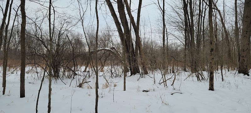Blanche Lake Park - Grant,